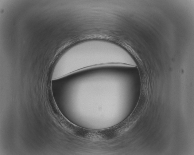 X0000086330207200703300939
