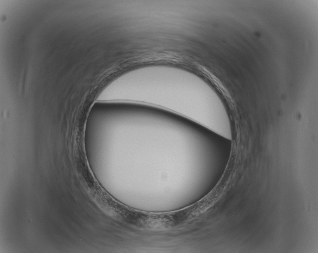 X0000086330209200703300939