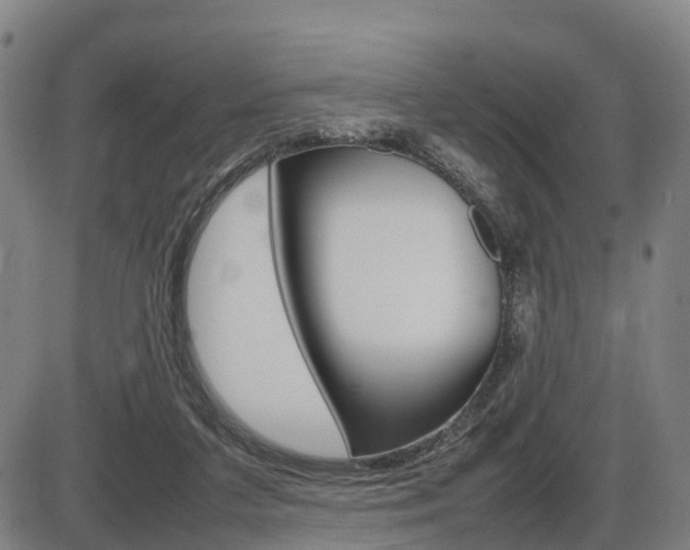 X0000086330211200703300939