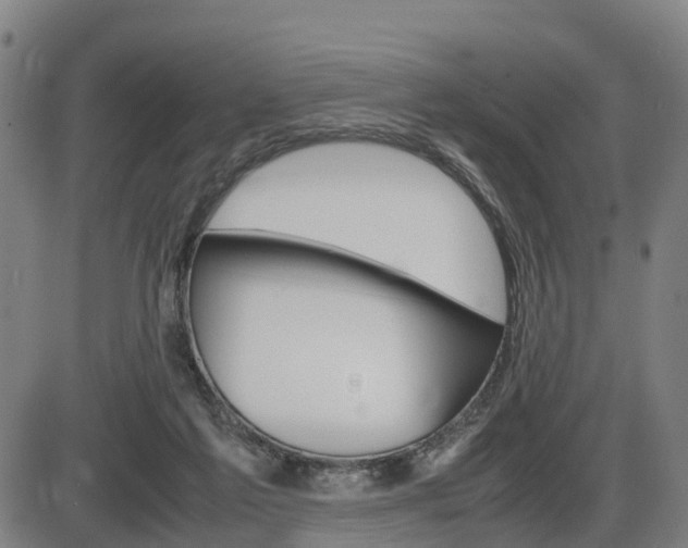 X0000086330213200703300939