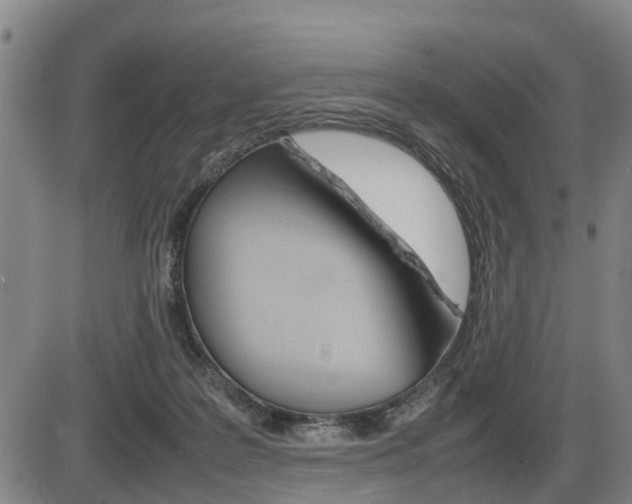 X0000086330219200703300939