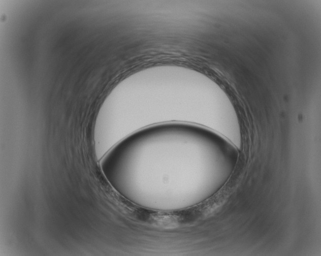 X0000086330221200703300939