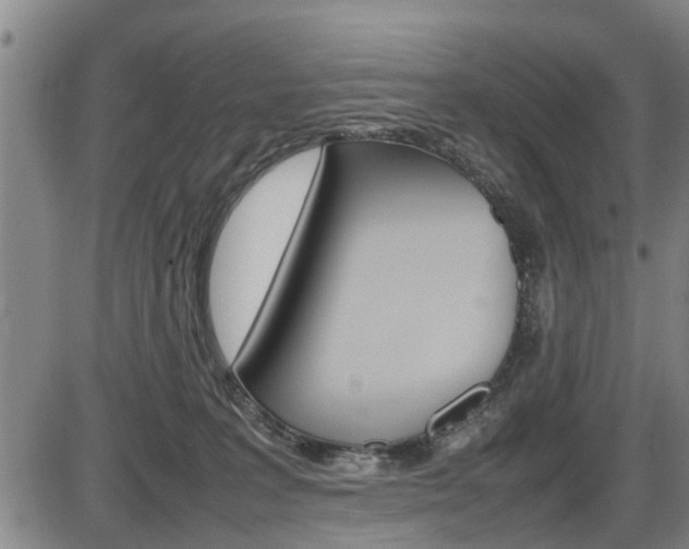 X0000086330227200703300939
