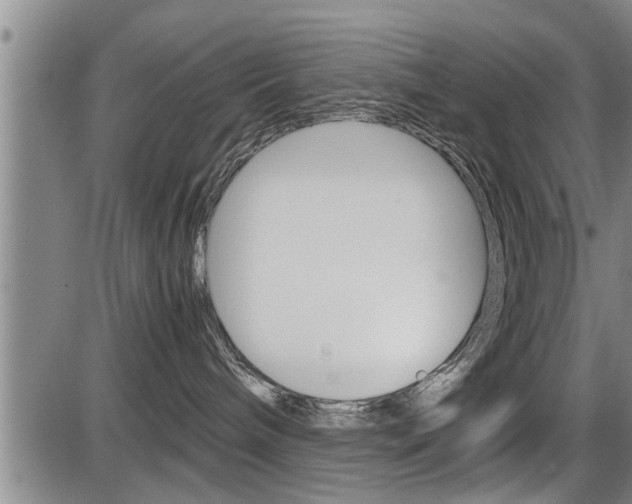 X0000086330240200703300939