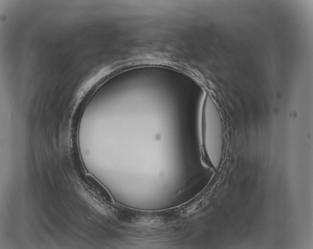 X0000086330248200703300938