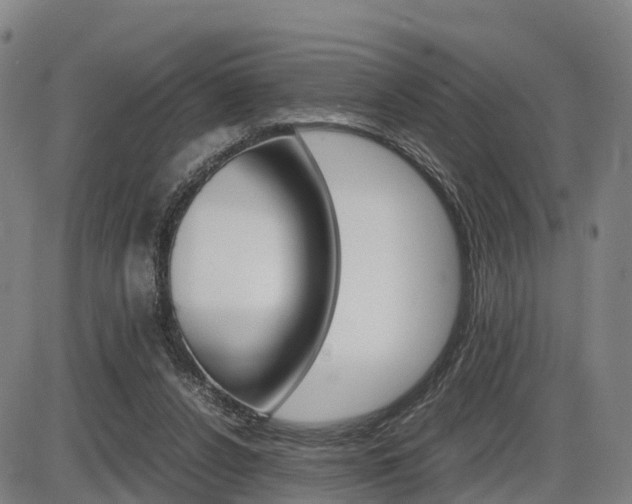X0000086330256200703300938