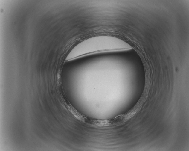 X0000086330288200703300939
