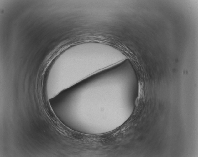 X0000086330291200703300938