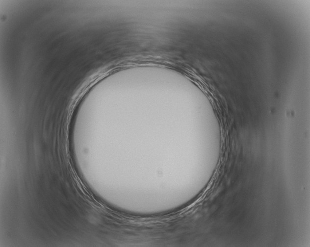 X0000086330293200703300938