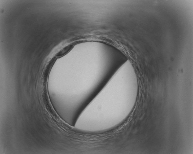 X0000086330295200703300938