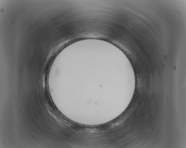 X0000086330302200703300938