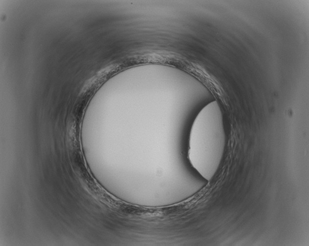 X0000086330306200703300938