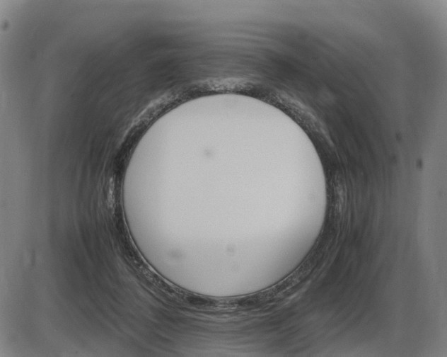 X0000086330308200703300938