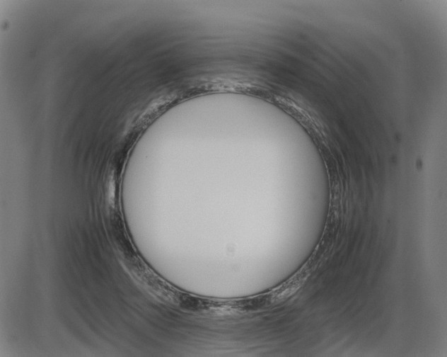X0000086330310200703300938