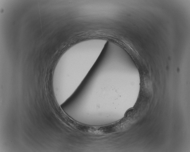 X0000086330311200703300938