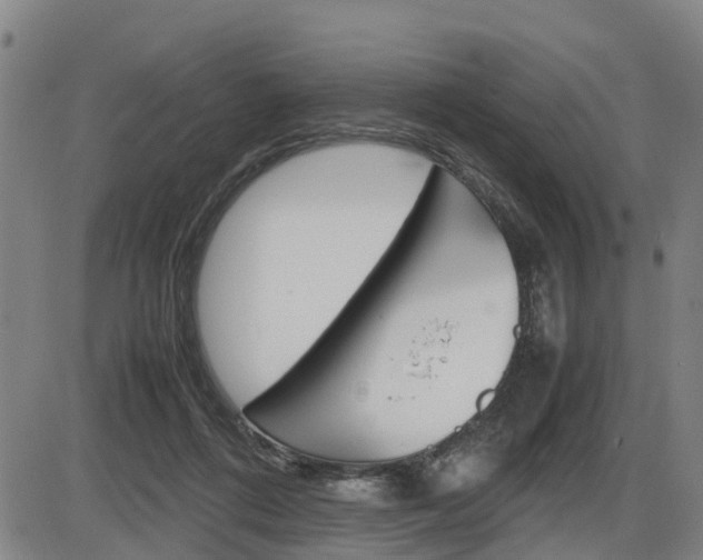 X0000086330312200703300938