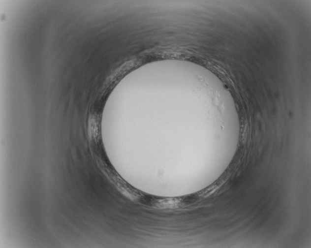 X0000086330335200703300937