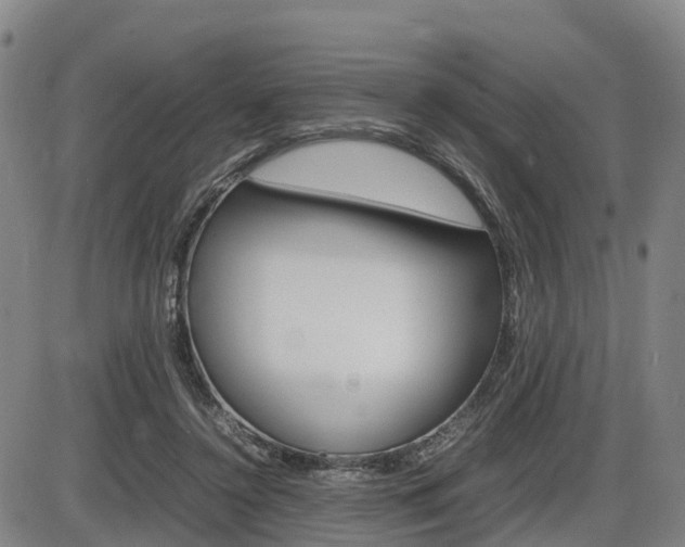 X0000086330356200703300937