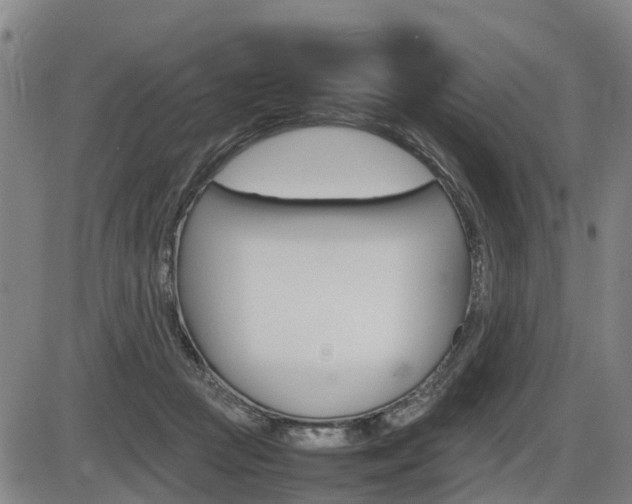 X0000086330361200703300937