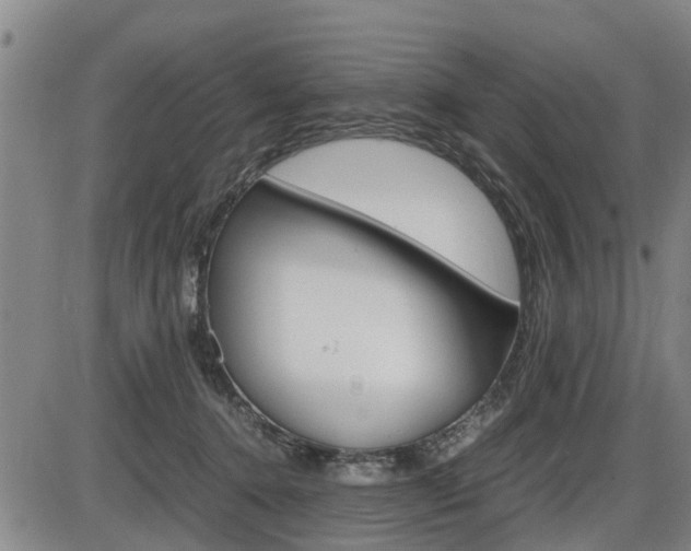X0000086330368200703300937
