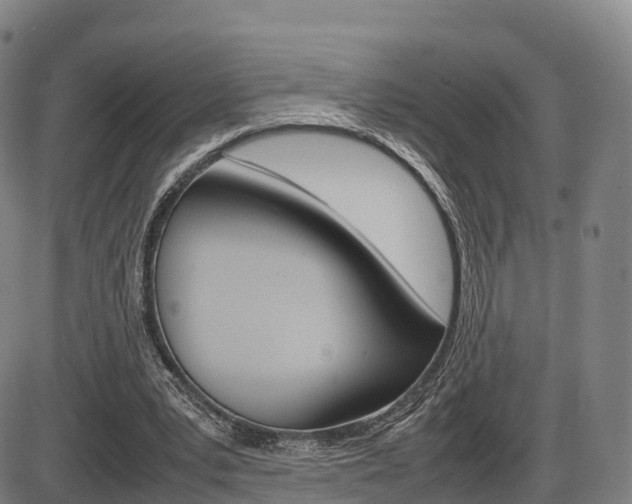 X0000086330391200703300936
