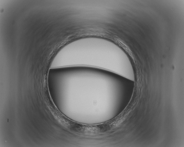 X0000086330401200703300936