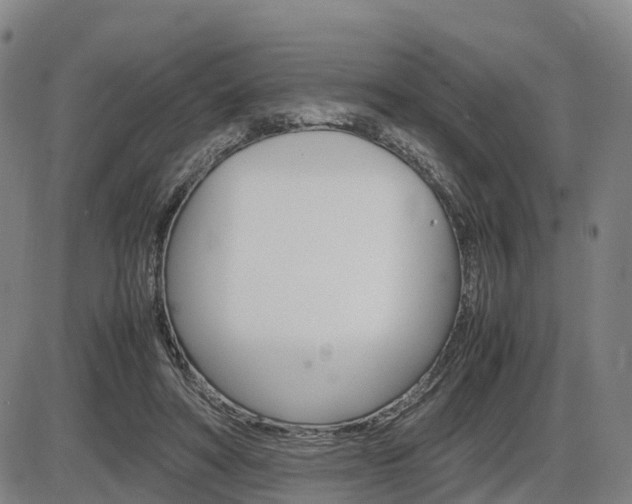 X0000086330402200703300936