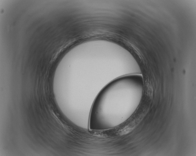 X0000086330404200703300936