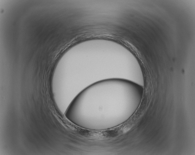 X0000086330405200703300936