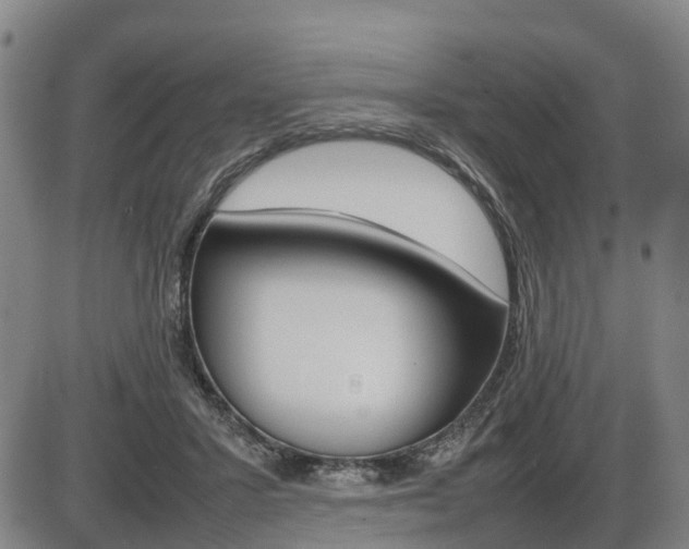 X0000086330407200703300936