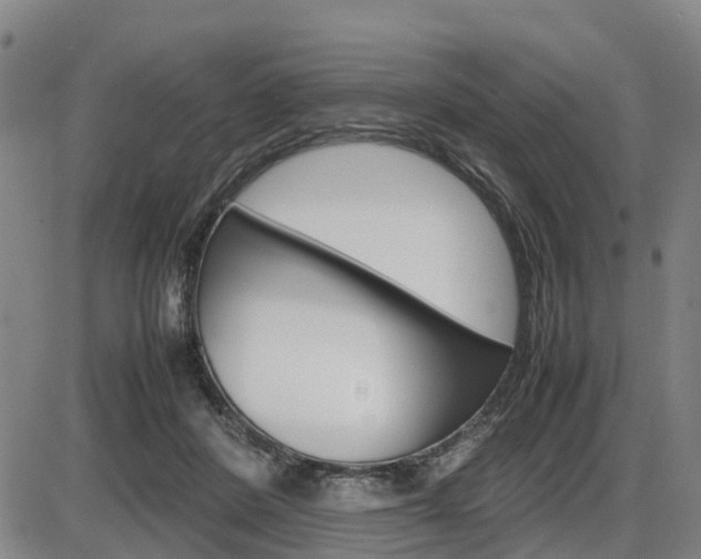 X0000086330408200703300936
