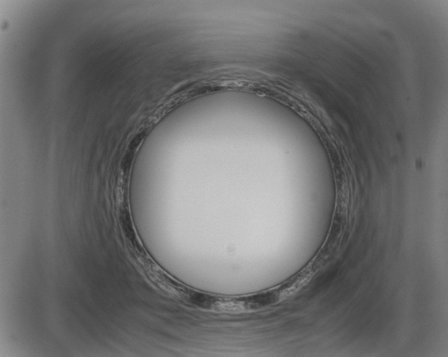 X0000086330413200703300936