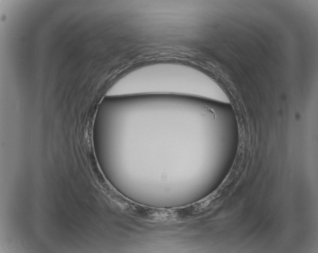 X0000086330415200703300936