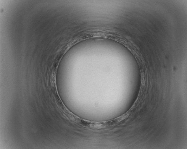 X0000086330419200703300936