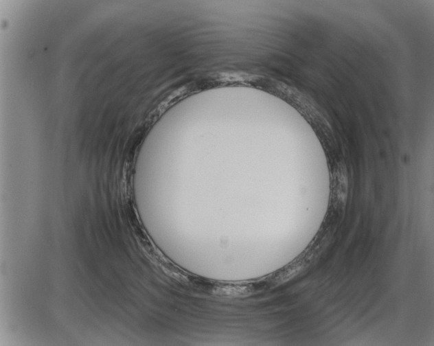 X0000086330422200703300936