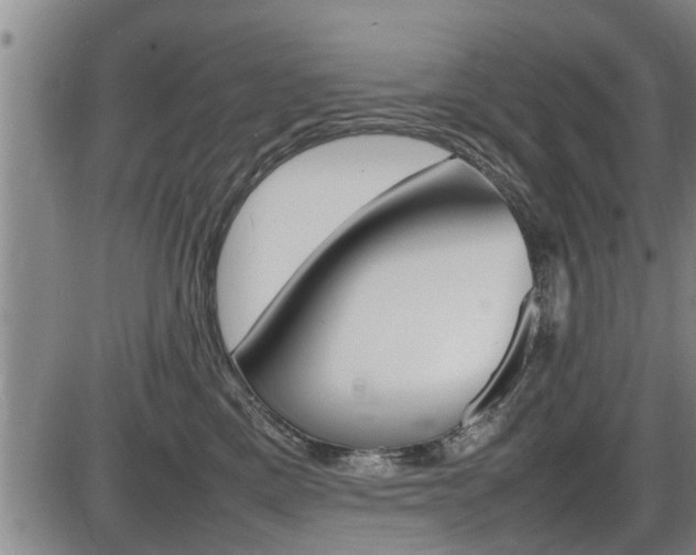 X0000086330425200703300936