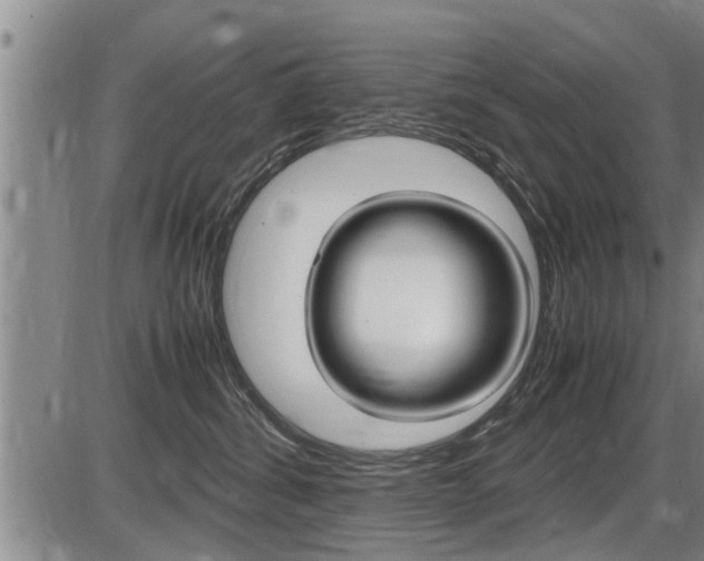 X0000086330428200703300936