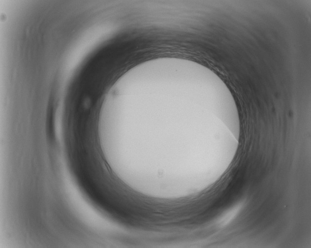 X0000086330431200703300936