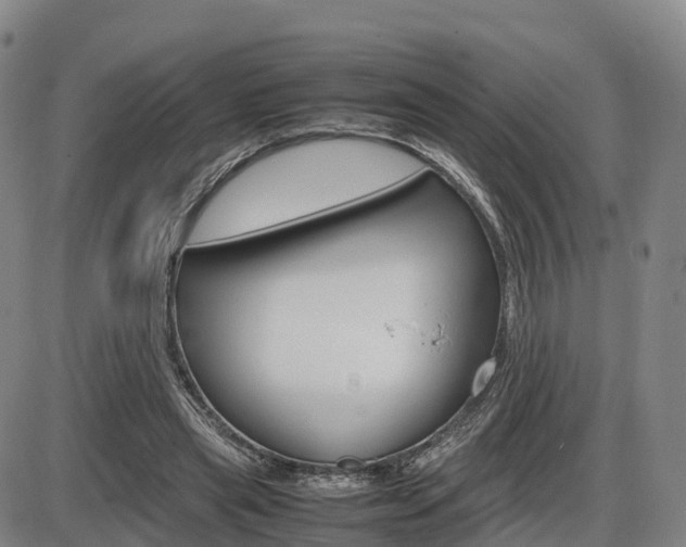 X0000086330445200703300935