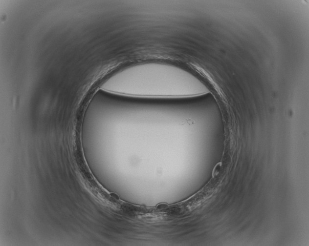 X0000086330447200703300935