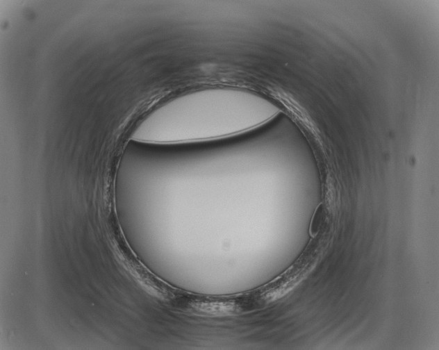 X0000086330449200703300935