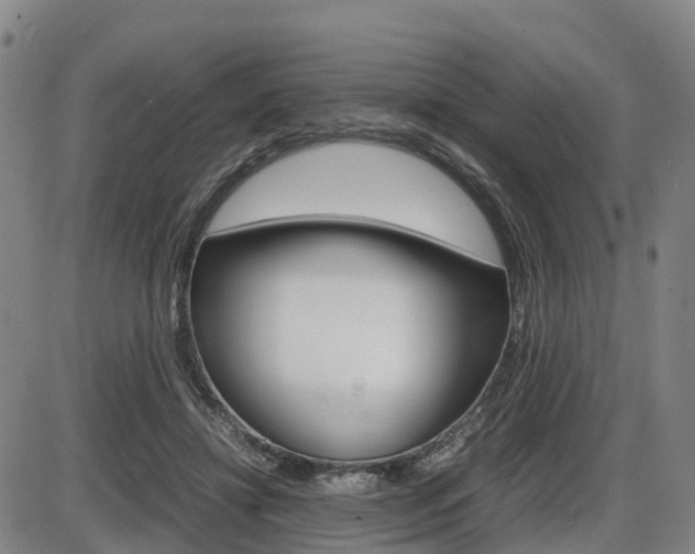 X0000086330452200703300935