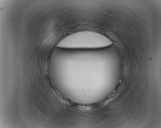 X0000086330469200703300935