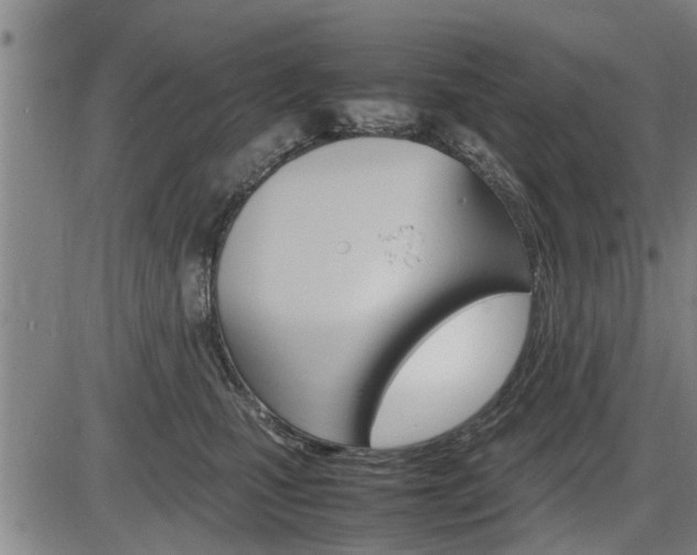 X0000086330471200703300935