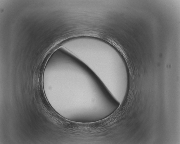X0000086330483200703300935