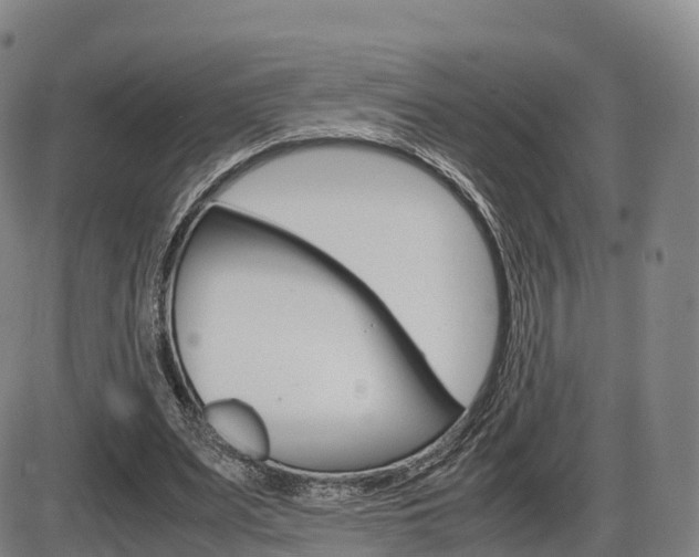X0000086330487200703300935