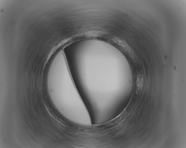 X0000086330492200703300935