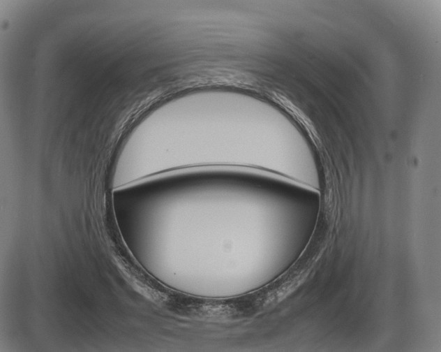 X0000086330493200703300935