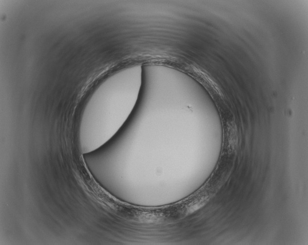 X0000086330494200703300935
