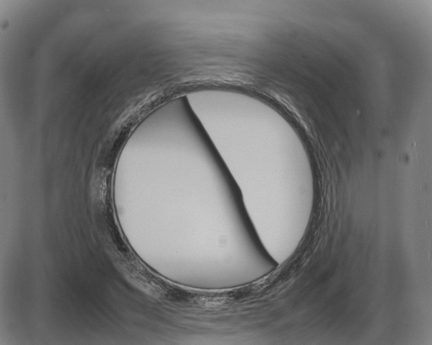 X0000086330495200703300934